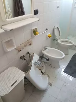 Costo di riparazione della toilette professionale